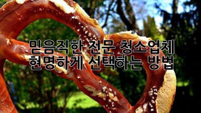 믿음직한 전문 청소업체, 현명하게 선택하는 방법